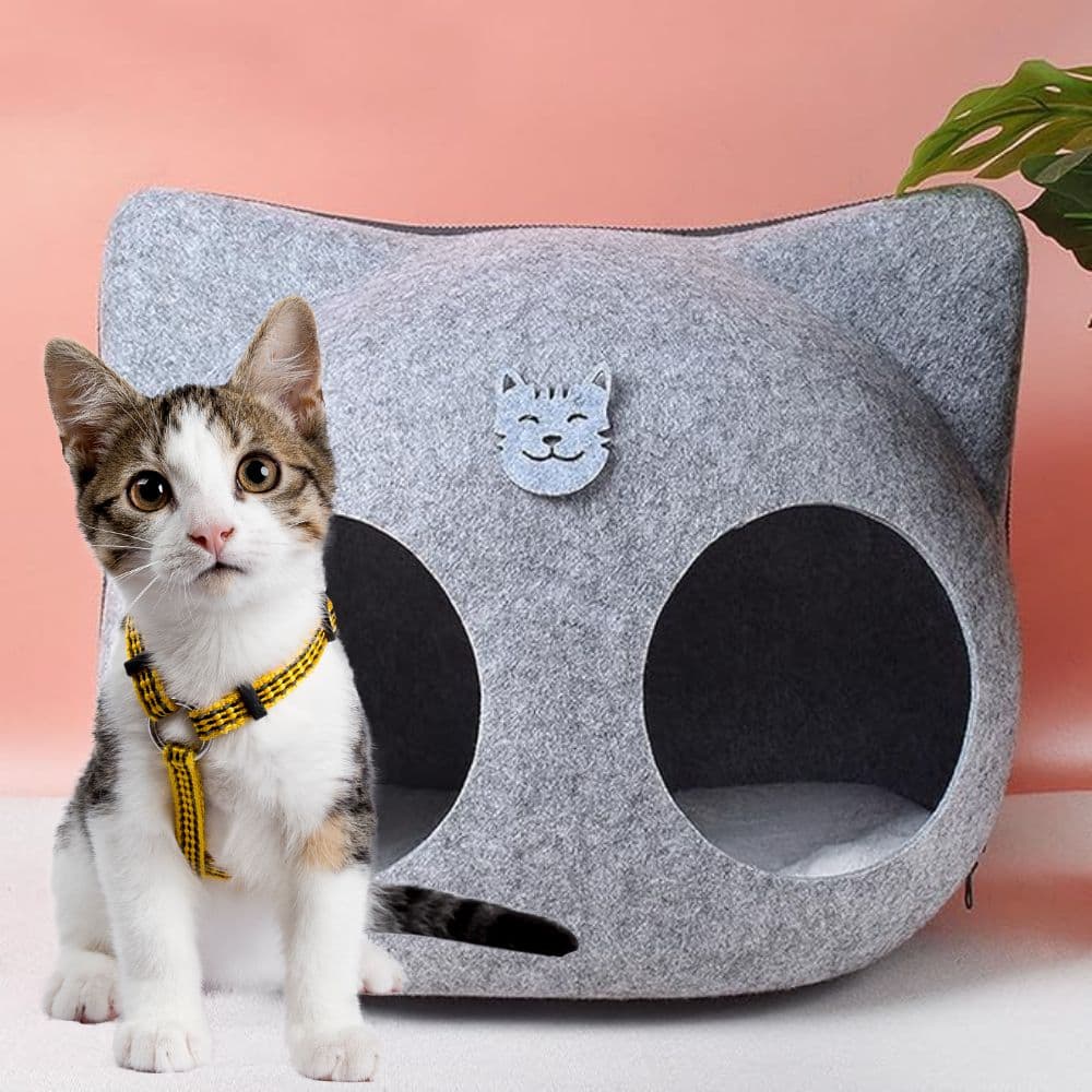Cama Gatos Fieltro Tunel Redondo Diseño Gato