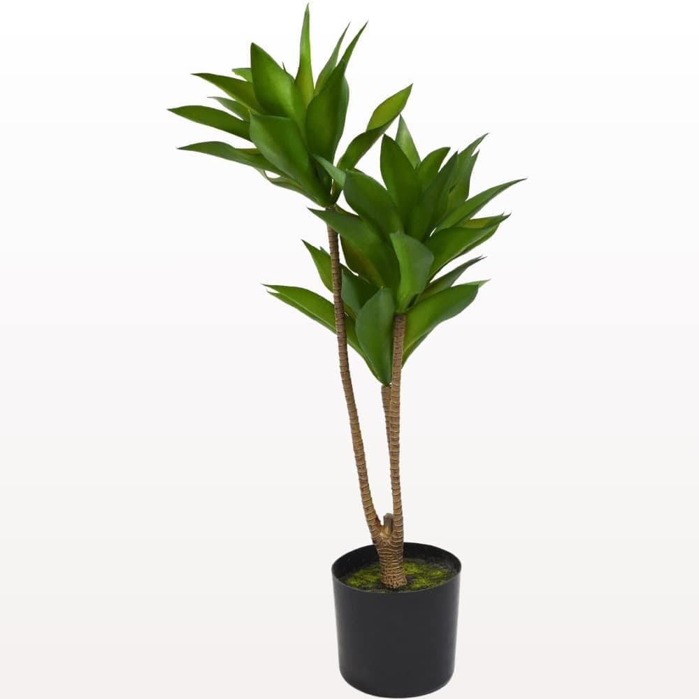 Planta Artificial Tronco Del Brasil 65 Cm