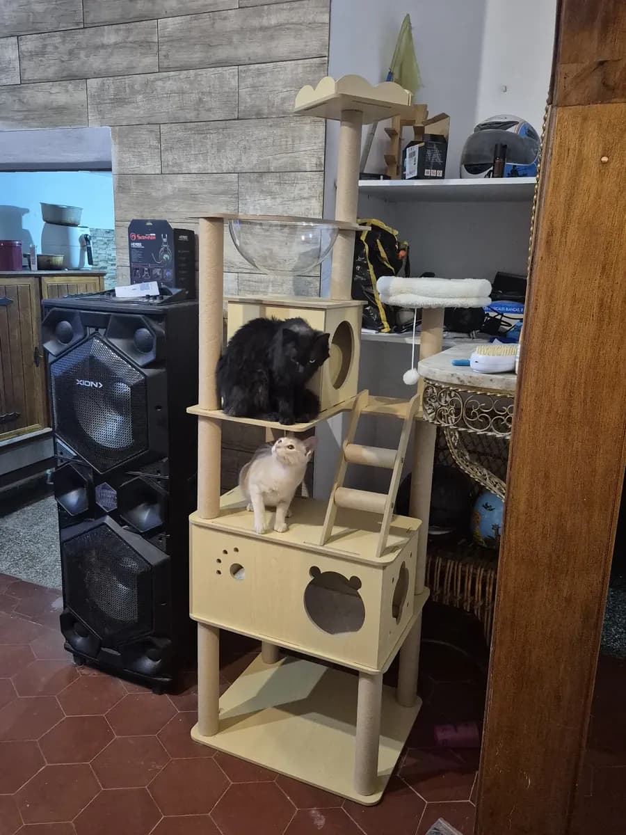 Foto de Agustín
