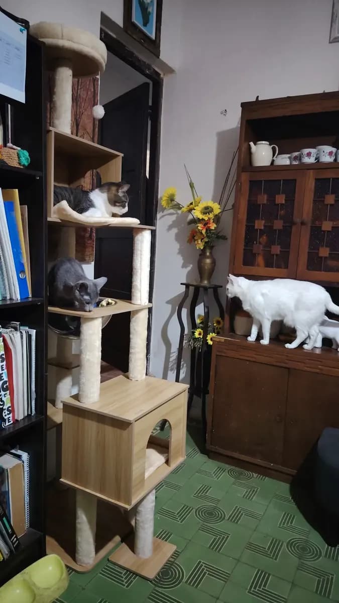 Foto de Juan
